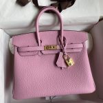 Hermes Birkin 25 Retourne Handmade Bag In Mauve Sylvestre Clemence Leather